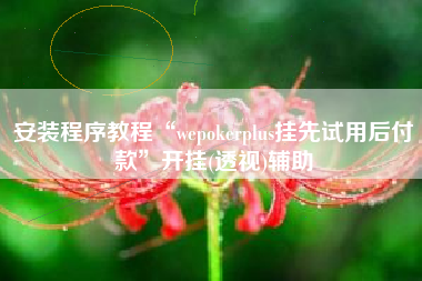 安装程序教程“wepokerplus挂先试用后付款	”开挂(透视)辅助