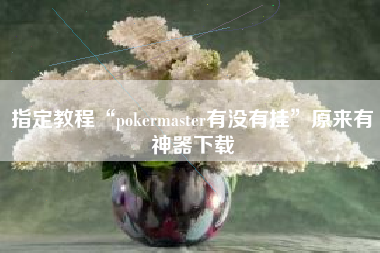 指定教程“pokermaster有没有挂	”原来有神器下载