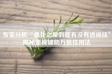 专家分析“德扑之星到底有没有透视挂”揭秘透视辅助万能挂用法