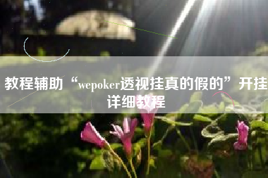 教程辅助“wepoker透视挂真的假的”开挂详细教程