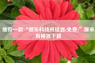 推荐一款“微乐科技开挂器(免费)	”原来有神器下载