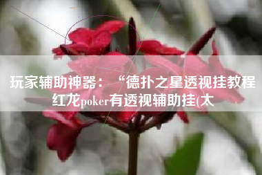 玩家辅助神器：“德扑之星透视挂教程红龙poker有透视辅助挂(太