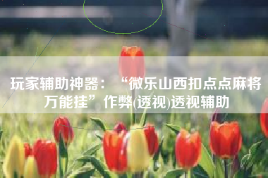 玩家辅助神器：“微乐山西扣点点麻将万能挂	”作弊(透视)透视辅助