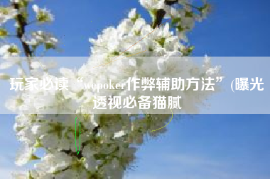 玩家必读“wepoker作弊辅助方法”(曝光透视必备猫腻