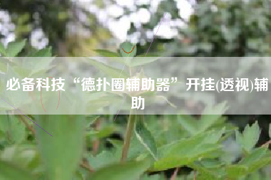必备科技“德扑圈辅助器”开挂(透视)辅助