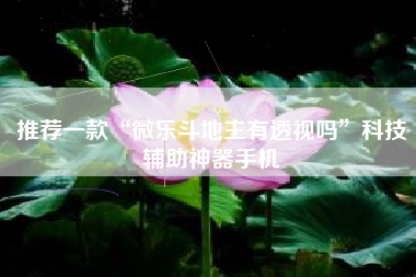 推荐一款“微乐斗地主有透视吗”科技辅助神器手机