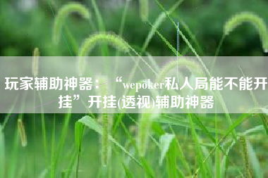 玩家辅助神器：“wepoker私人局能不能开挂”开挂(透视)辅助神器