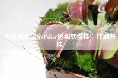 可用版本“WePoKer透视软件挂”详细开挂