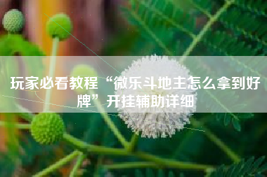 玩家必看教程“微乐斗地主怎么拿到好牌”开挂辅助详细