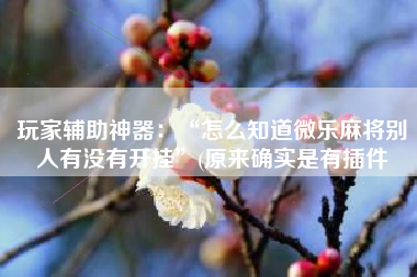 玩家辅助神器：“怎么知道微乐麻将别人有没有开挂”(原来确实是有插件