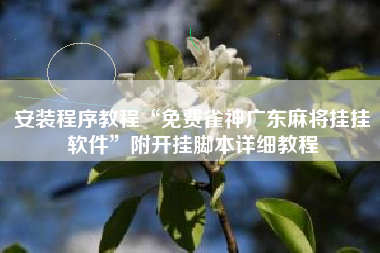 安装程序教程“免费雀神广东麻将挂挂软件”附开挂脚本详细教程