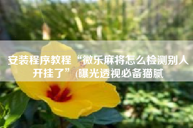 安装程序教程“微乐麻将怎么检测别人开挂了”(曝光透视必备猫腻