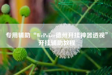 专用辅助“WePoker德州开挂神器透视	”开挂辅助教程