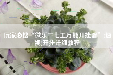 玩家必搜“微乐二七王万能开挂器	”(透视)开挂详细教程