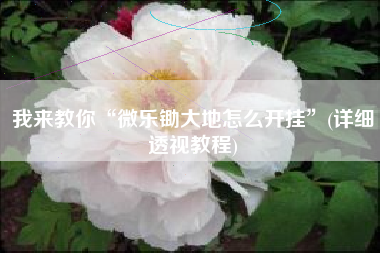 我来教你“微乐锄大地怎么开挂”(详细透视教程)