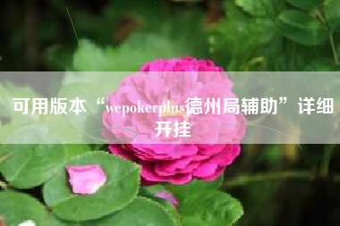 可用版本“wepokerplus德州局辅助”详细开挂