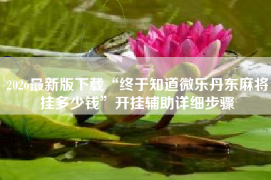 2026最新版下载“终于知道微乐丹东麻将挂多少钱”开挂辅助详细步骤
