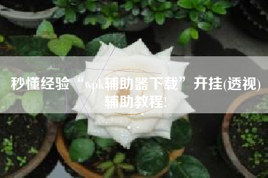 秒懂经验“wpk辅助器下载	”开挂(透视)辅助教程!
