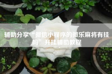 辅助分享“微信小程序的微乐麻将有挂吗	”开挂辅助教程