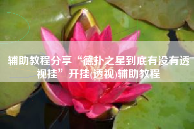 辅助教程分享“德扑之星到底有没有透视挂	”开挂(透视)辅助教程