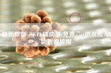 最新教你“WPK辅助器(免费)”(透视挂)辅助透视教程