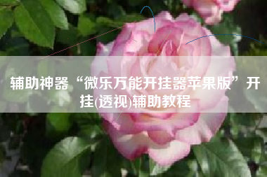 辅助神器“微乐万能开挂器苹果版	”开挂(透视)辅助教程