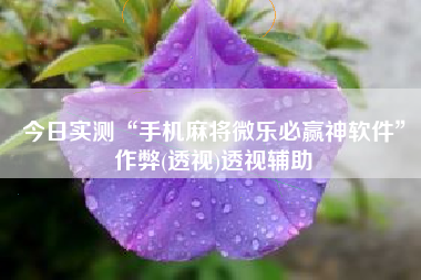 今日实测“手机麻将微乐必赢神软件	”作弊(透视)透视辅助