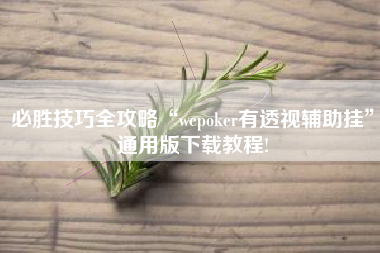 必胜技巧全攻略“wepoker有透视辅助挂	”通用版下载教程!