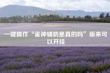 一键操作“雀神辅助是真的吗	”原来可以开挂