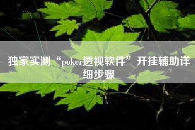 独家实测“poker透视软件”开挂辅助详细步骤