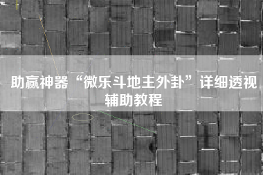 助赢神器“微乐斗地主外卦”详细透视辅助教程