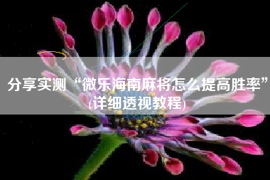 分享实测“微乐海南麻将怎么提高胜率	”(详细透视教程)