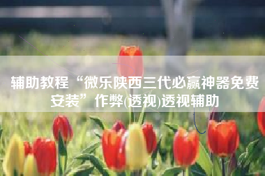 辅助教程“微乐陕西三代必赢神器免费安装	”作弊(透视)透视辅助