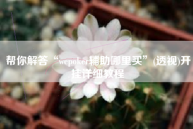 帮你解答“wepoker辅助哪里买	”(透视)开挂详细教程