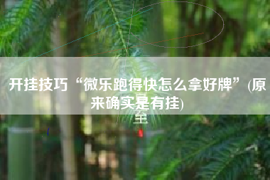 开挂技巧“微乐跑得快怎么拿好牌”(原来确实是有挂)