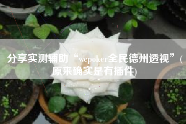 分享实测辅助“wepoker全民德州透视”(原来确实是有插件)