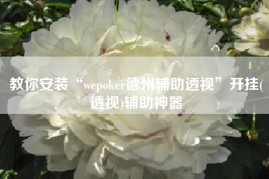 教你安装“wepoker德州辅助透视”开挂(透视)辅助神器