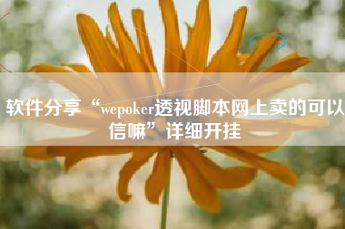 软件分享“wepoker透视脚本网上卖的可以信嘛”详细开挂