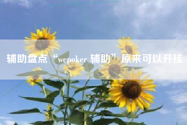 辅助盘点“wepoker 辅助”原来可以开挂