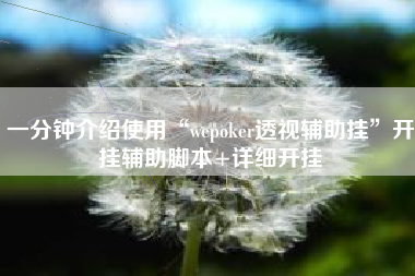 一分钟介绍使用“wepoker透视辅助挂”开挂辅助脚本+详细开挂