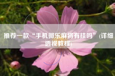 推荐一款“手机微乐麻将有挂吗”(详细透视教程)