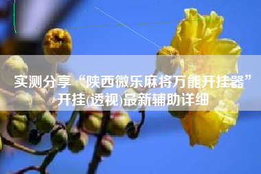 实测分享“陕西微乐麻将万能开挂器”开挂(透视)最新辅助详细