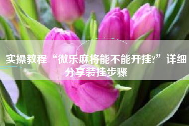 实操教程“微乐麻将能不能开挂?	”详细分享装挂步骤