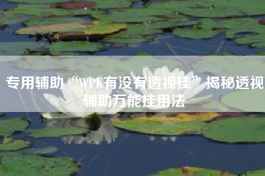 专用辅助“WPK有没有透视挂”揭秘透视辅助万能挂用法