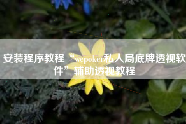 安装程序教程“wepoker私人局底牌透视软件”辅助透视教程