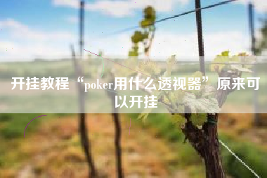开挂教程“poker用什么透视器	”原来可以开挂