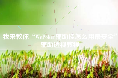 我来教你“WePoker辅助挂怎么用最安全”辅助透视教程