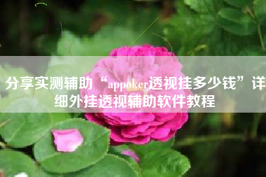 分享实测辅助“appoker透视挂多少钱”详细外挂透视辅助软件教程