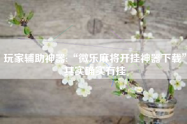 玩家辅助神器:“微乐麻将开挂神器下载”其实确实有挂