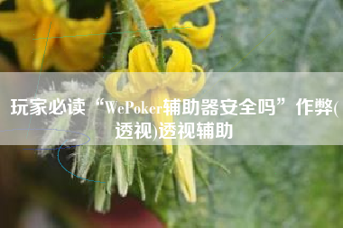 玩家必读“WePoker辅助器安全吗	”作弊(透视)透视辅助
